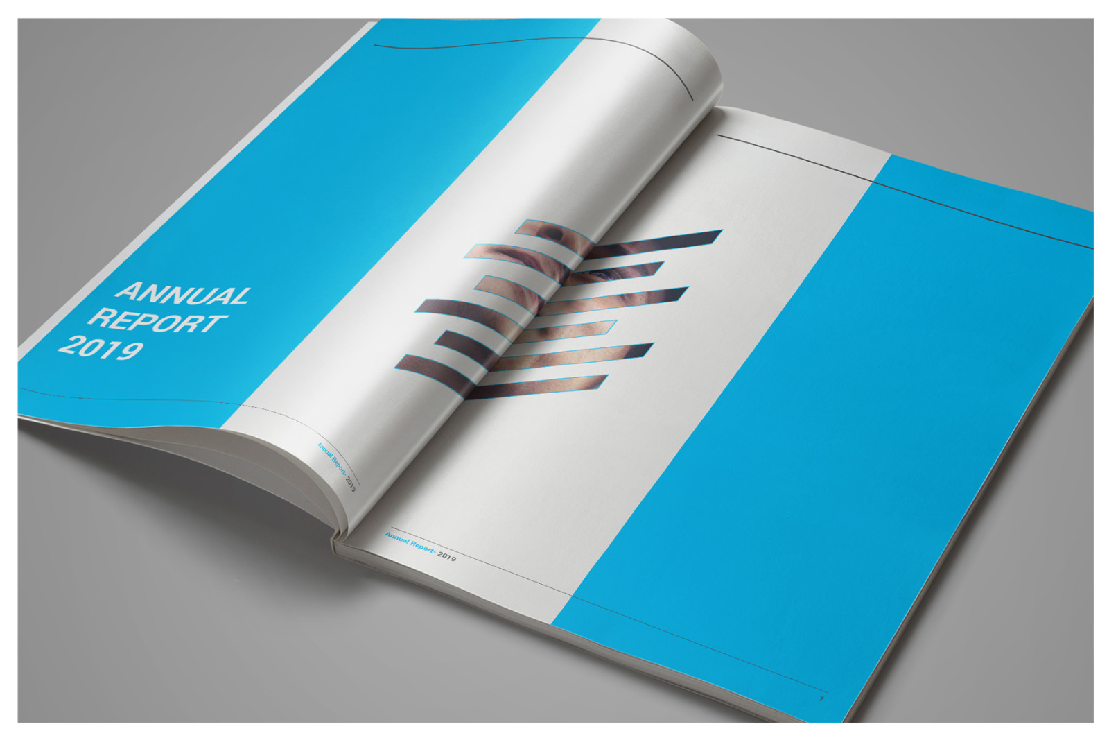 Corporate Annual Report