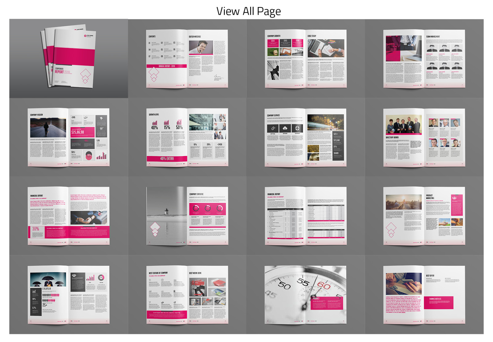 Pro Corporate Report Pro Corporate Report