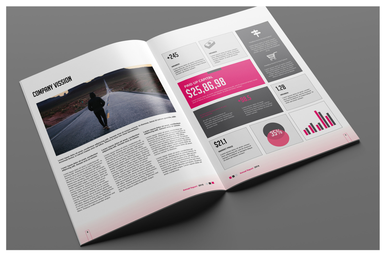 Pro Corporate Report Pro Corporate Report