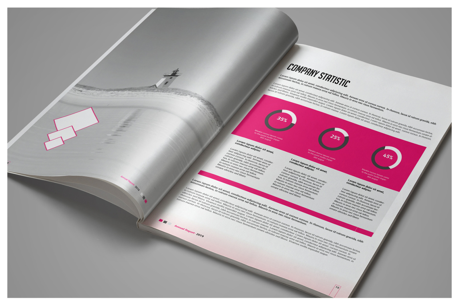 Pro Corporate Report Pro Corporate Report