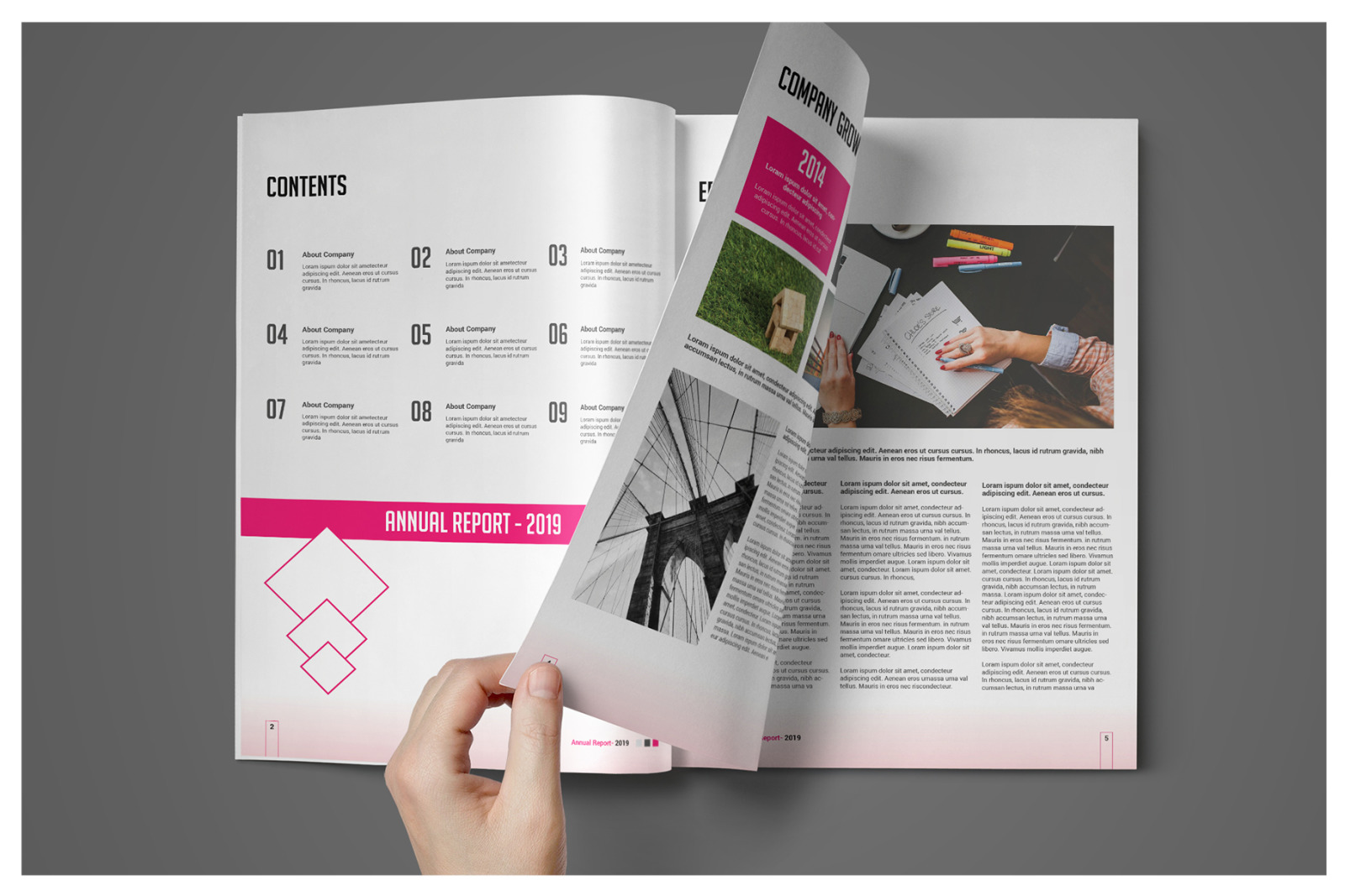 Pro Corporate Report Pro Corporate Report