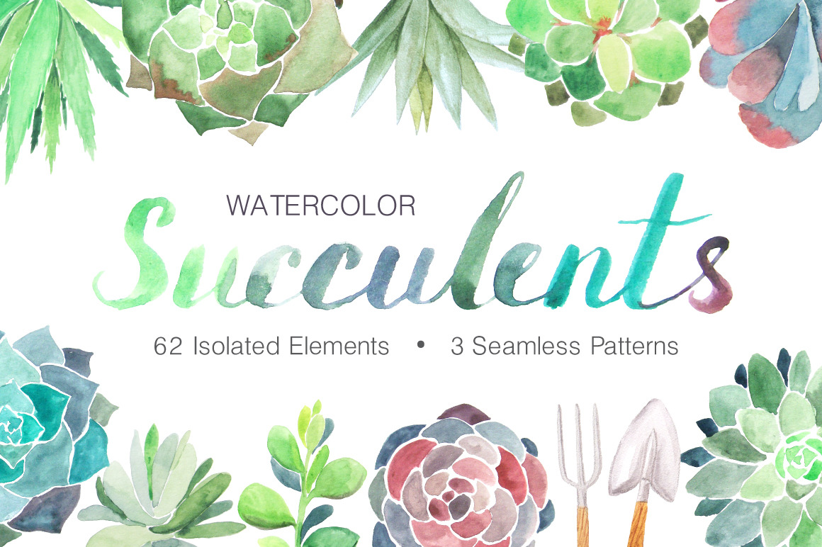 Watercolor Succulents Collection