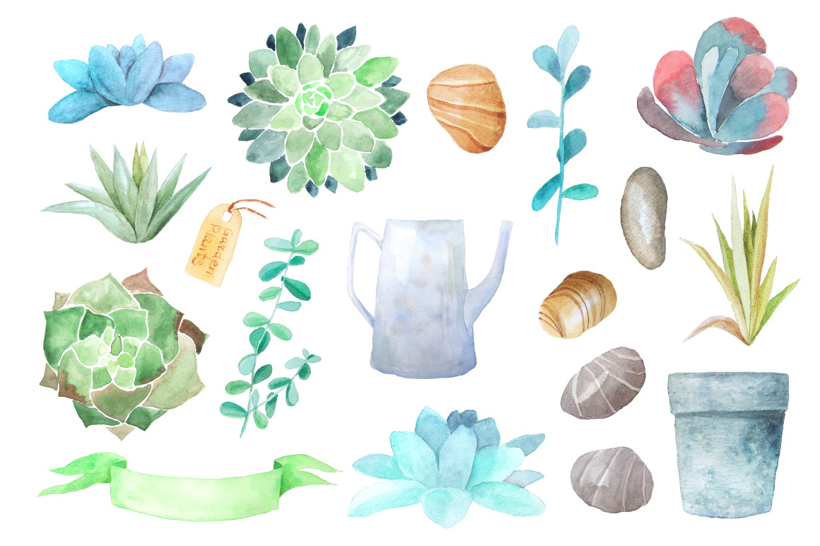 Watercolor Succulents Collection