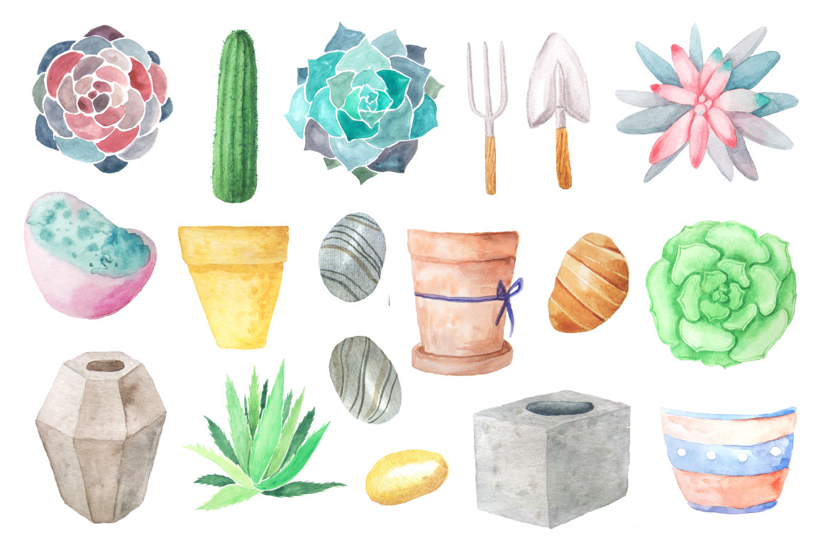 Watercolor Succulents Collection Watercolor Succulents Collection