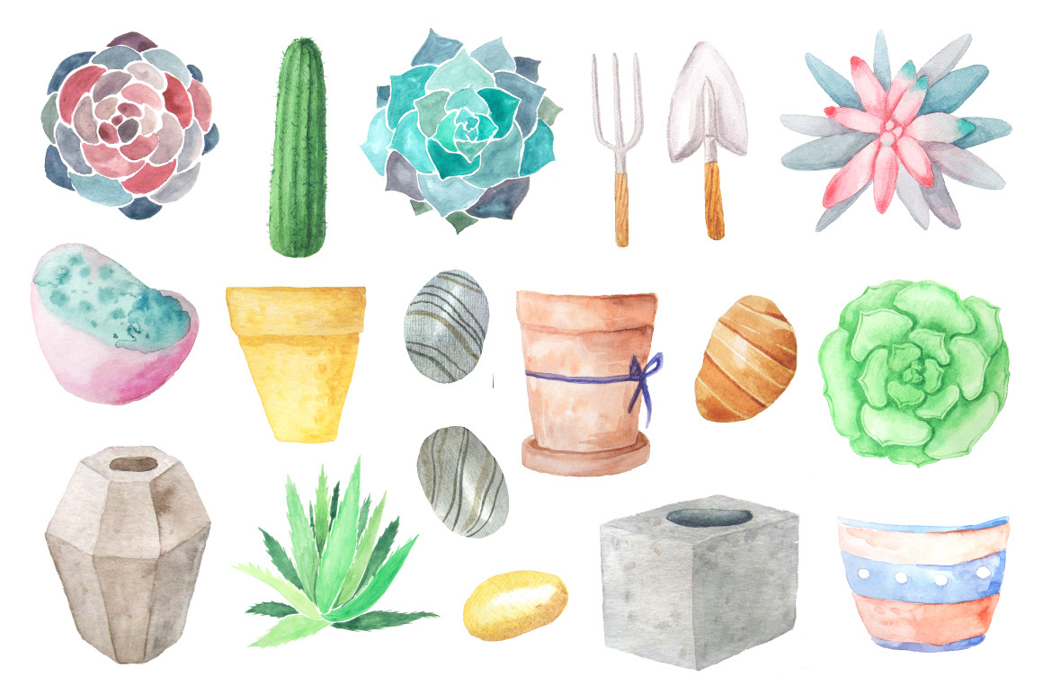 Watercolor Succulents Collection