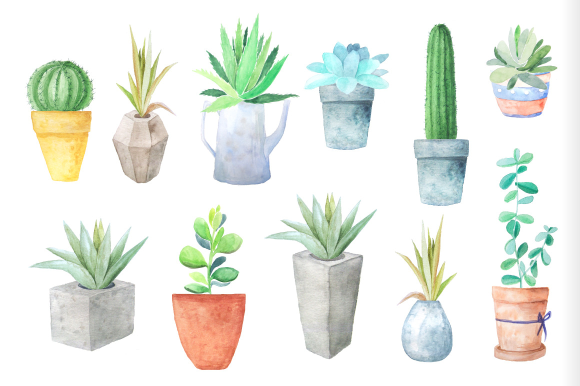 Watercolor Succulents Collection