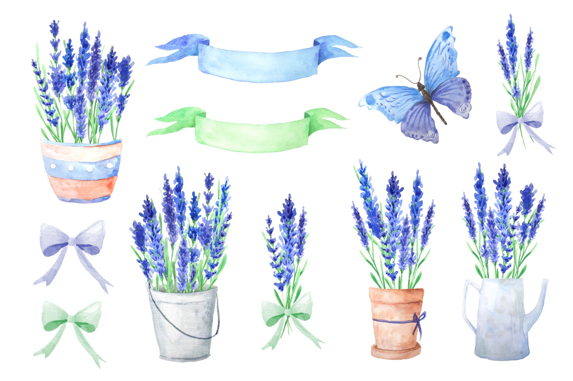 Watercolor Blue Lavender Flowers