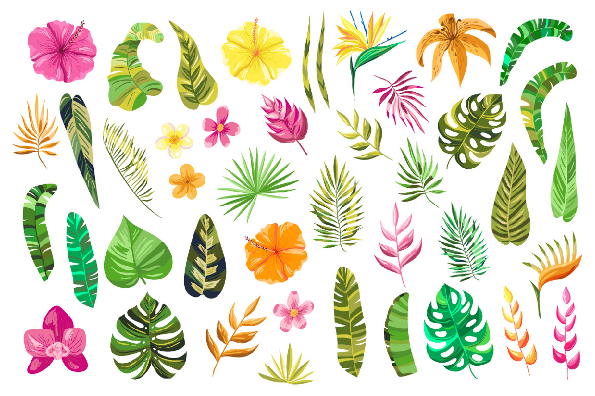 Vector Flower Paradise Set Vector Flower Paradise Set