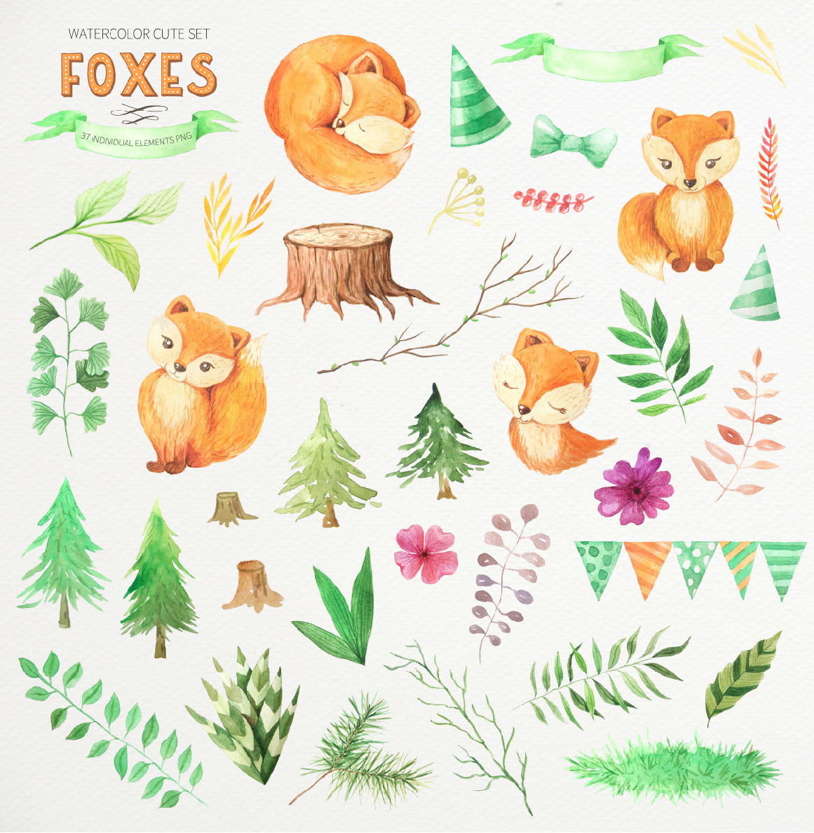 Watercolor Cute Foxes and Floral Set