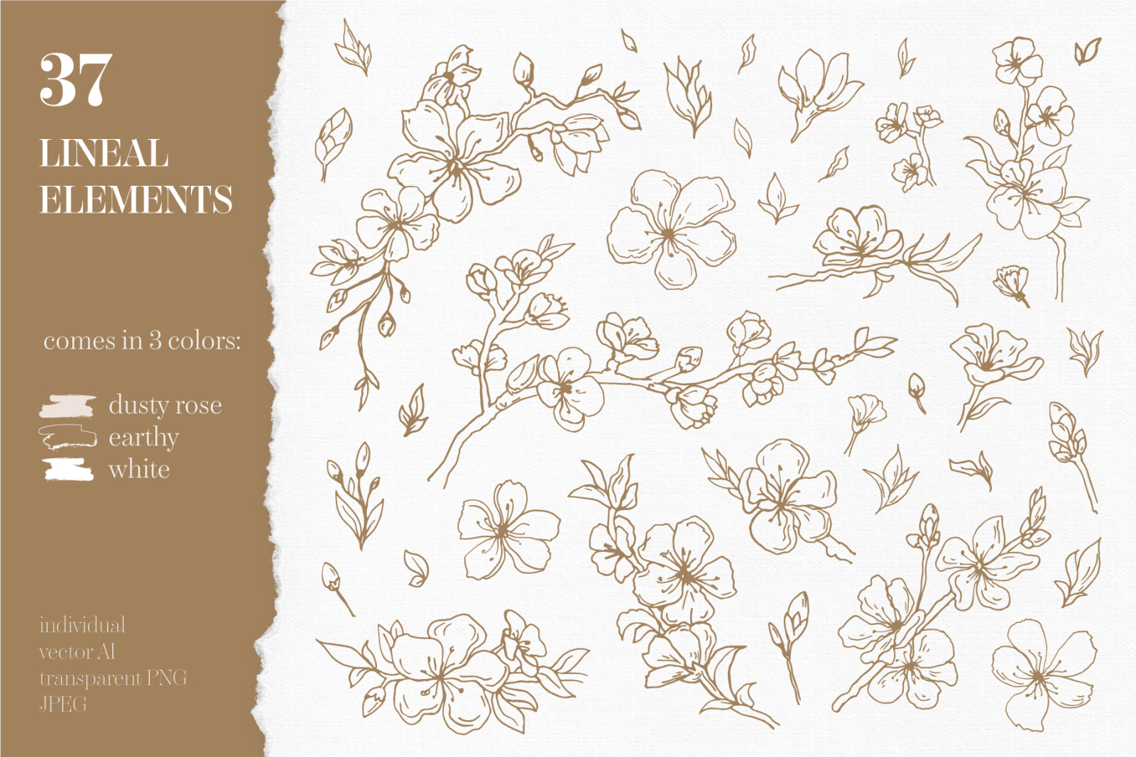 Cherry Blossom graphic set Cherry Blossom graphic set
