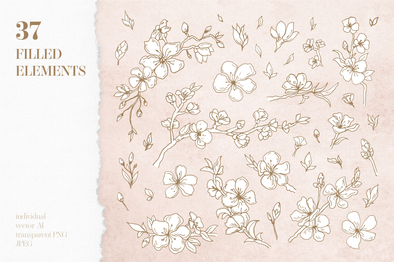 Cherry Blossom graphic set Cherry Blossom graphic set