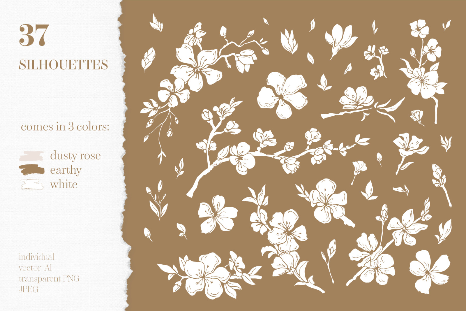 Cherry Blossom graphic set Cherry Blossom graphic set