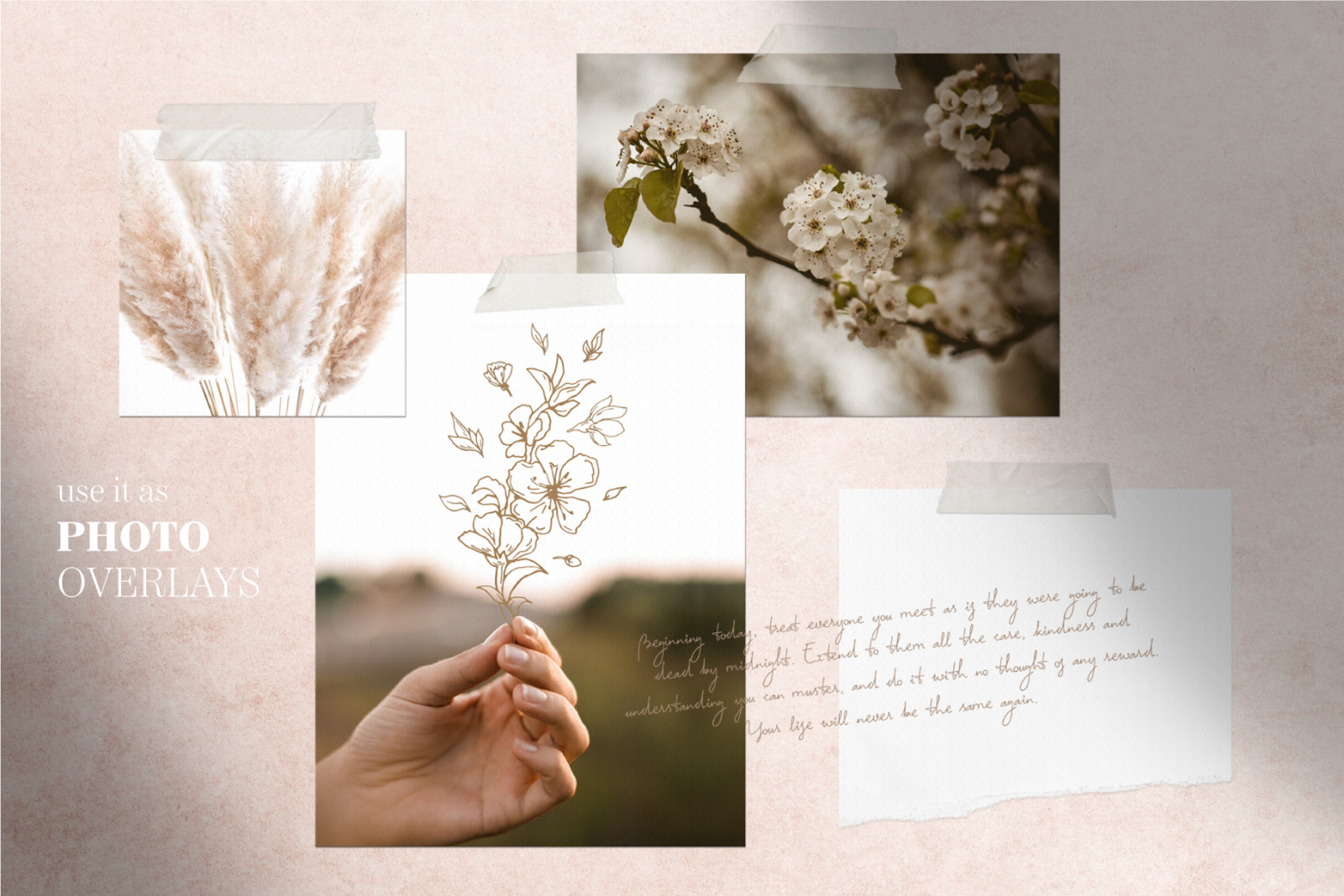 Cherry Blossom graphic set Cherry Blossom graphic set