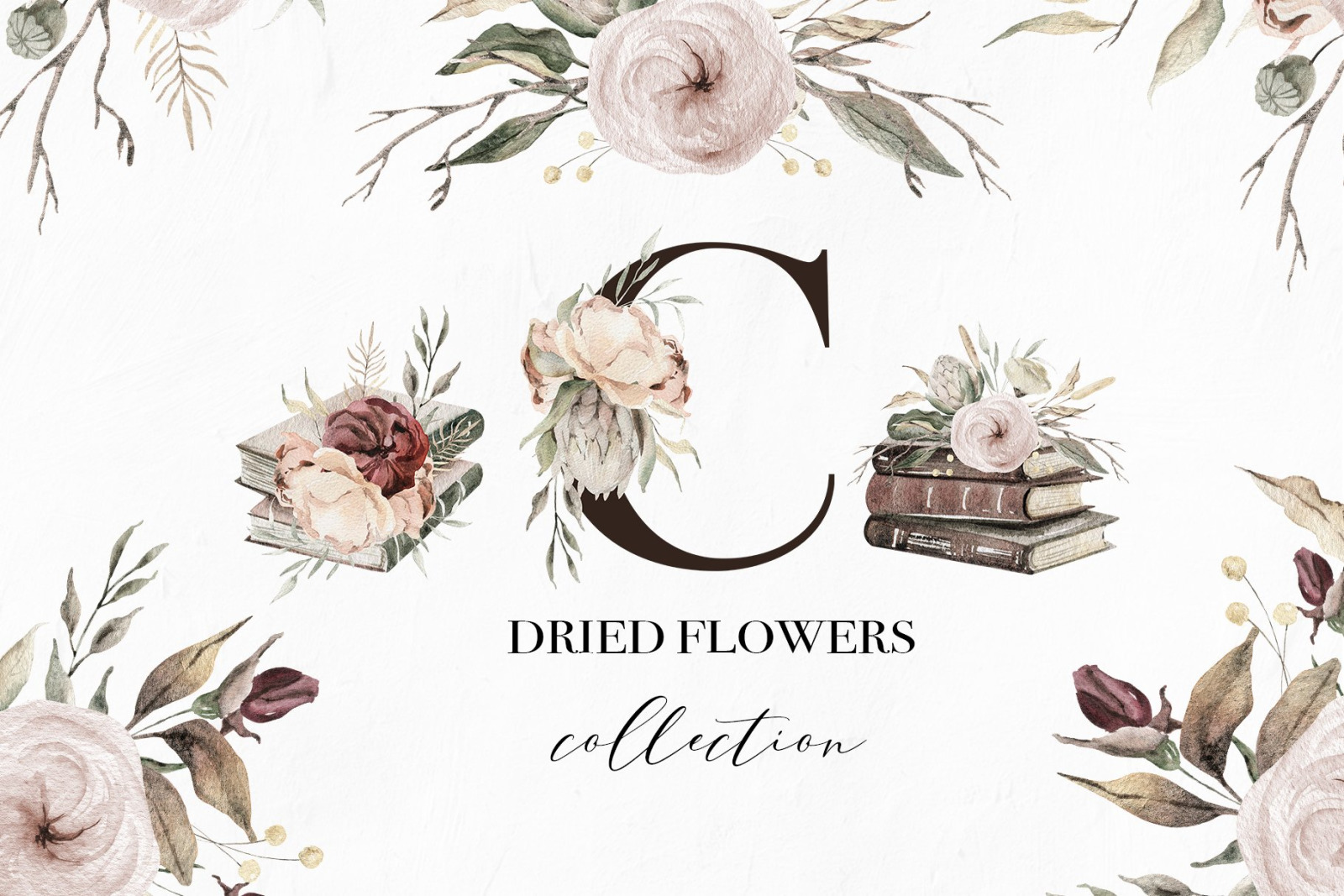 Dried flowers watercolor collection Dried flowers watercolor collection