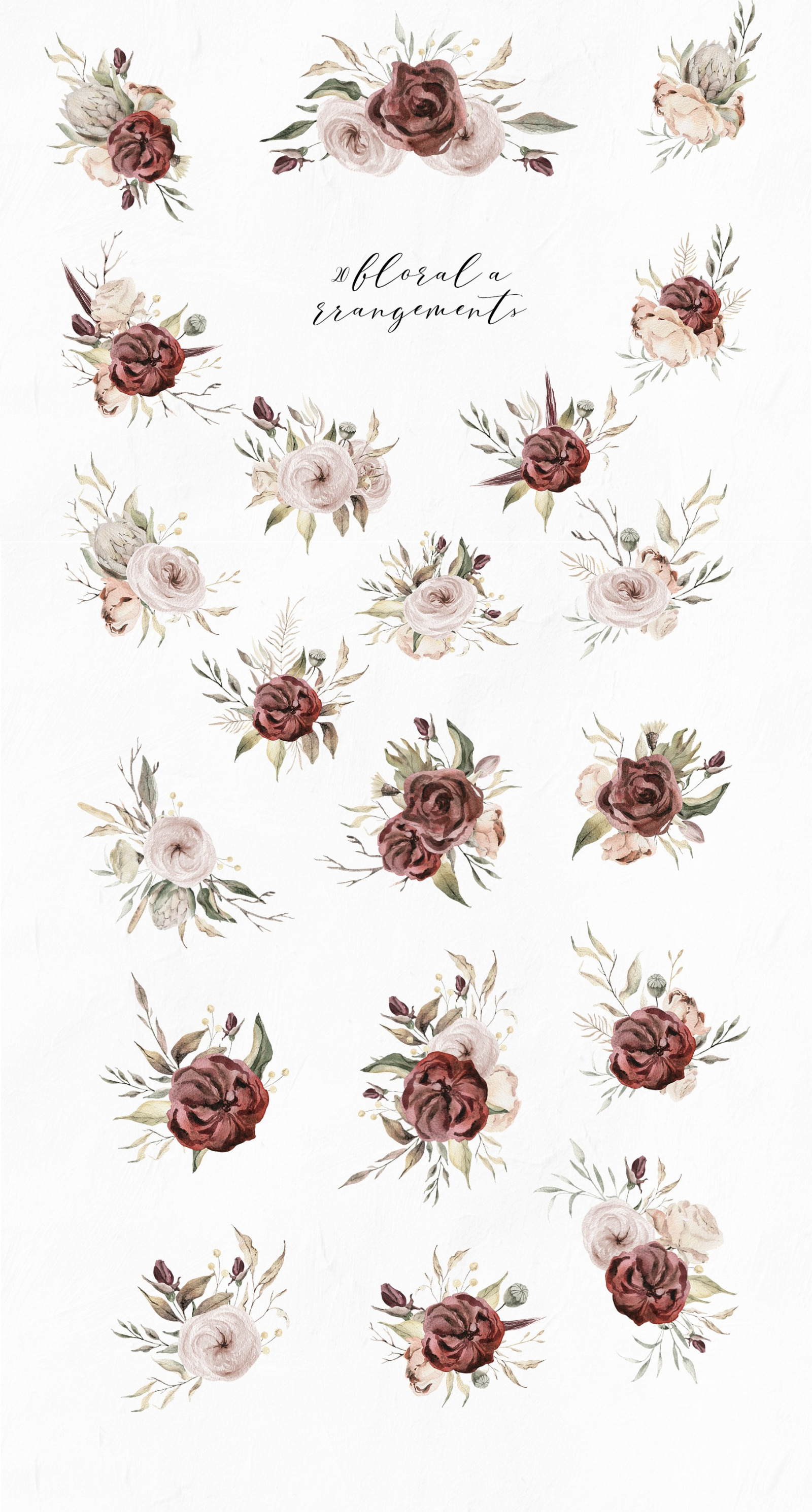 Dried flowers watercolor collection