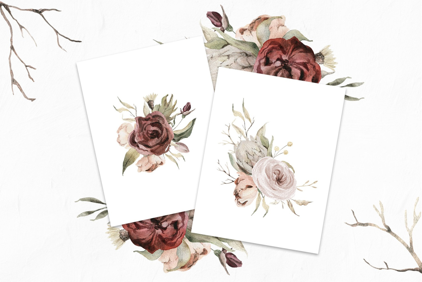 Dried flowers watercolor collection