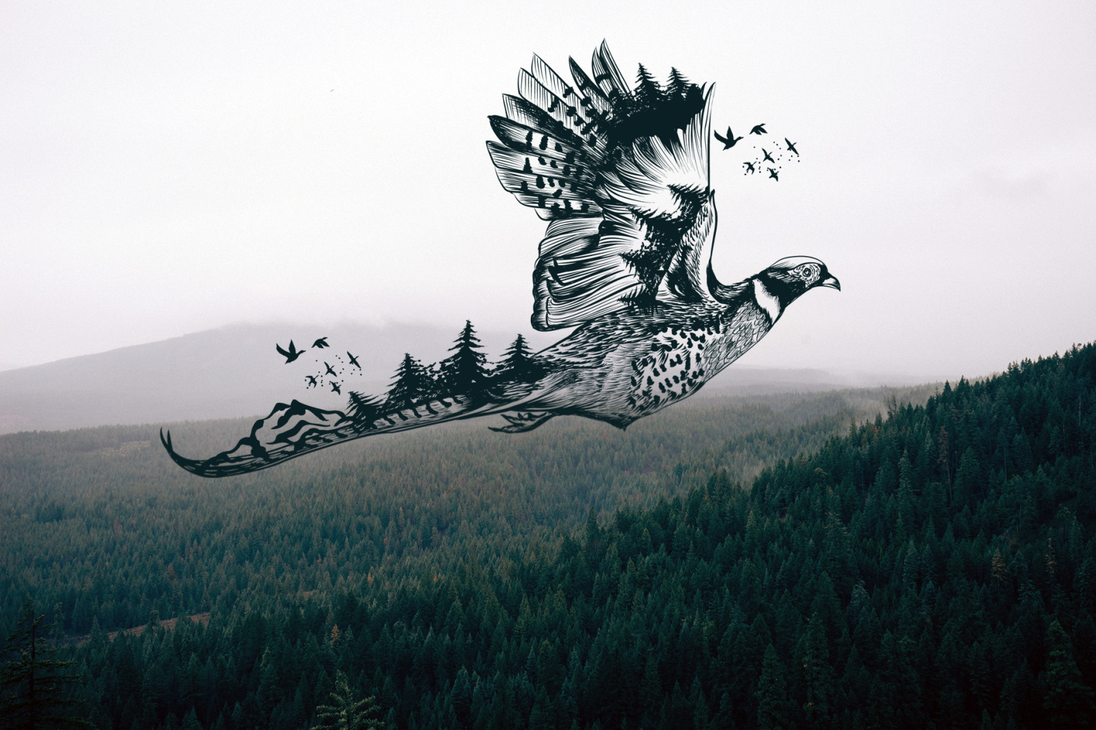 Bundle of artistic vector hand drawn animals Bundle of artistic vector hand drawn animals