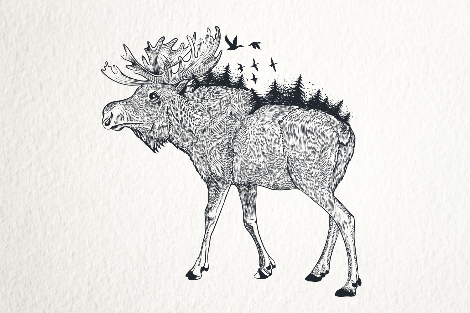 Bundle of artistic vector hand drawn animals Bundle of artistic vector hand drawn animals