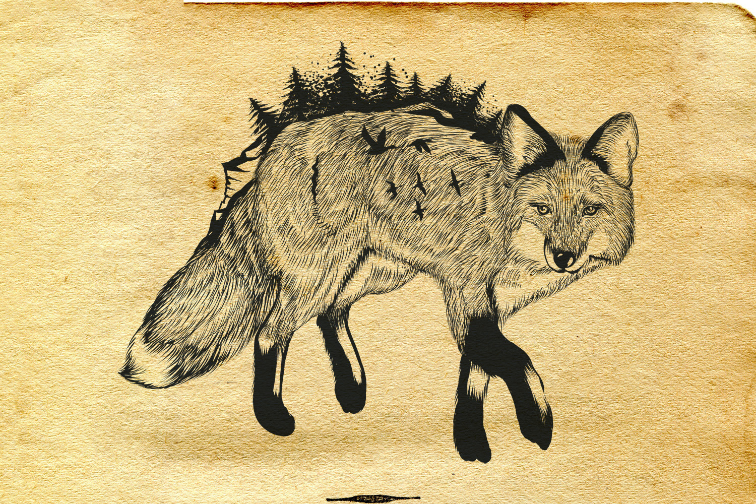 Bundle of artistic vector hand drawn animals Bundle of artistic vector hand drawn animals
