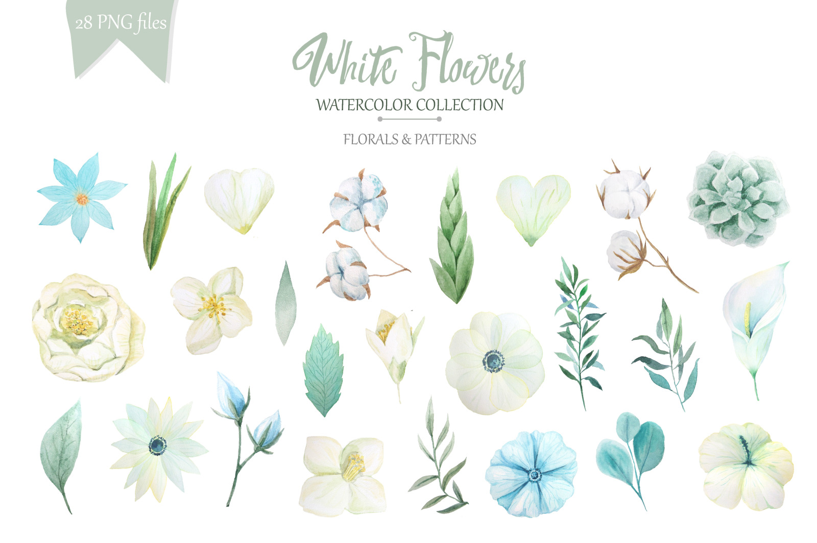 Watercolor White Flowers Set Watercolor White Flowers Set