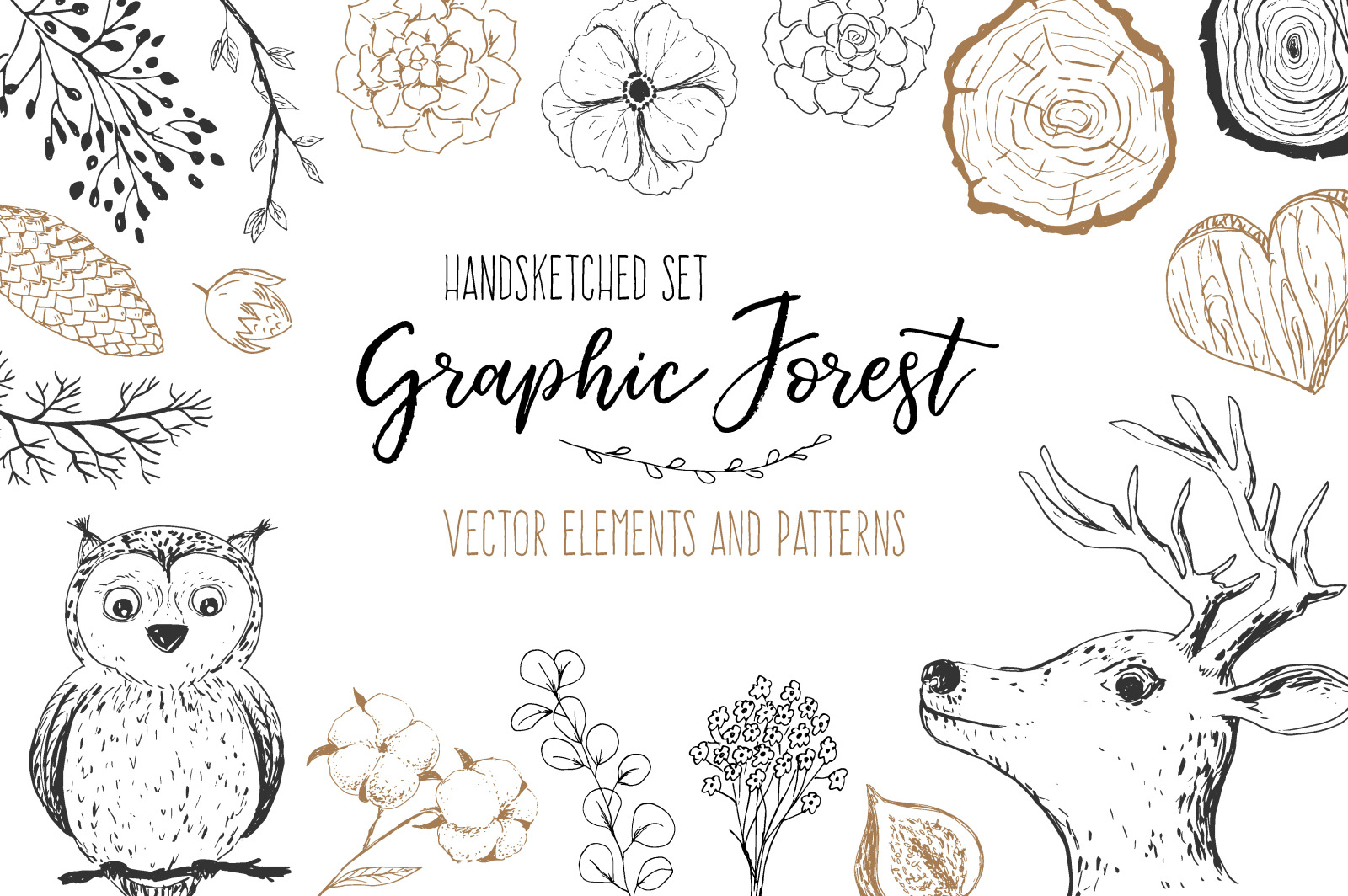 Vector Graphic Forest Collection Vector Graphic Forest Collection