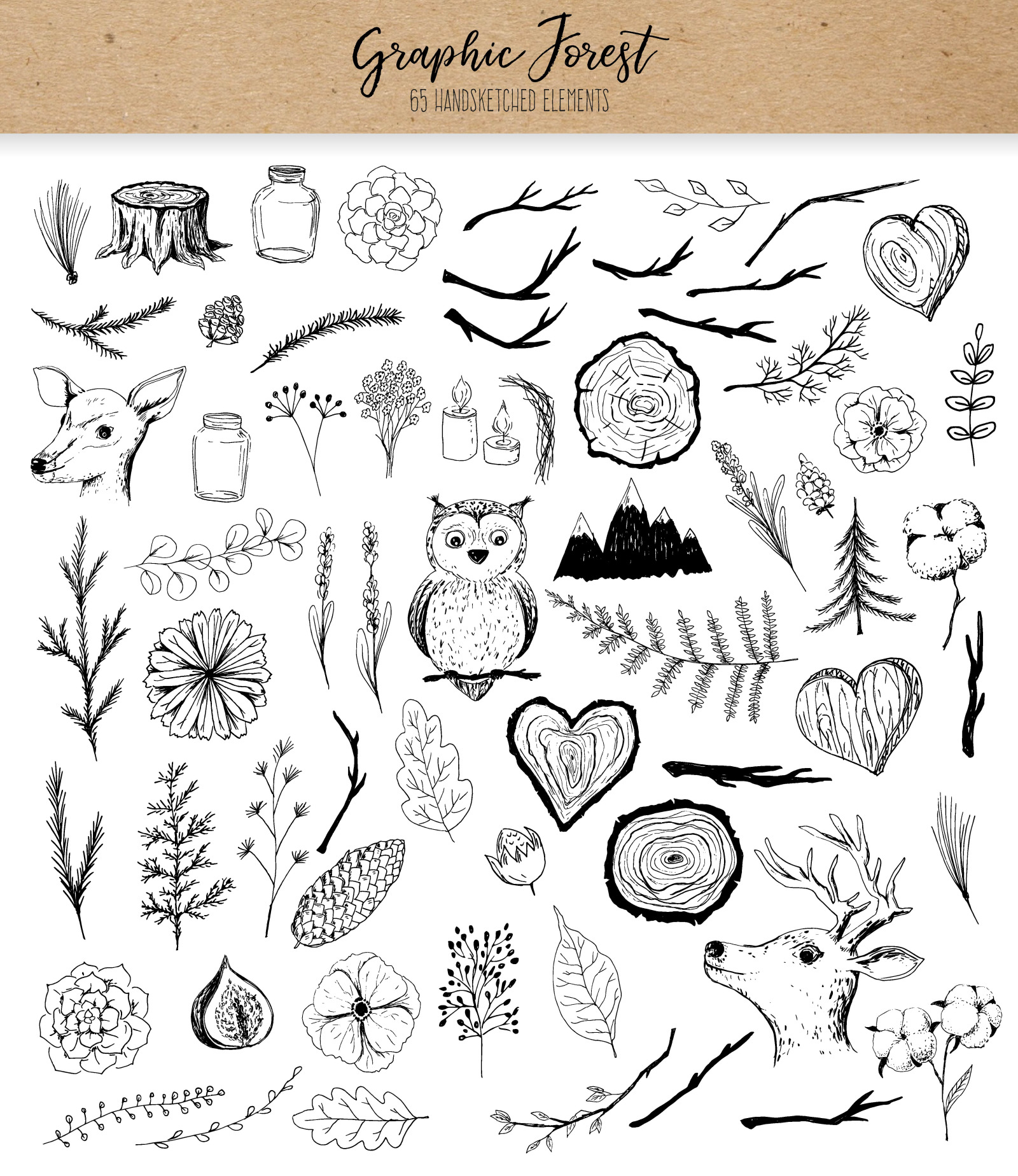 Vector Graphic Forest Collection Vector Graphic Forest Collection