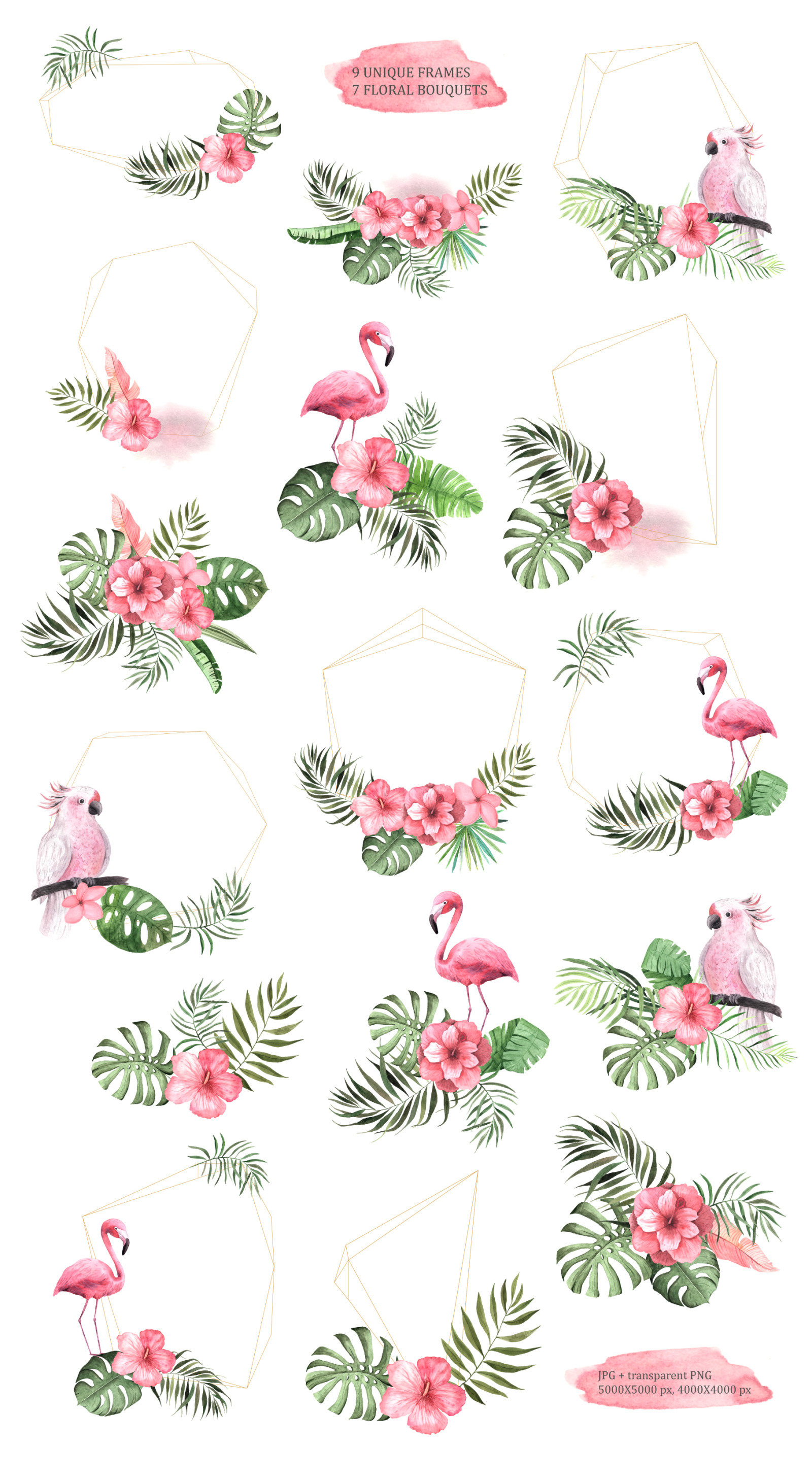 Watercolor Vintage Tropical Set