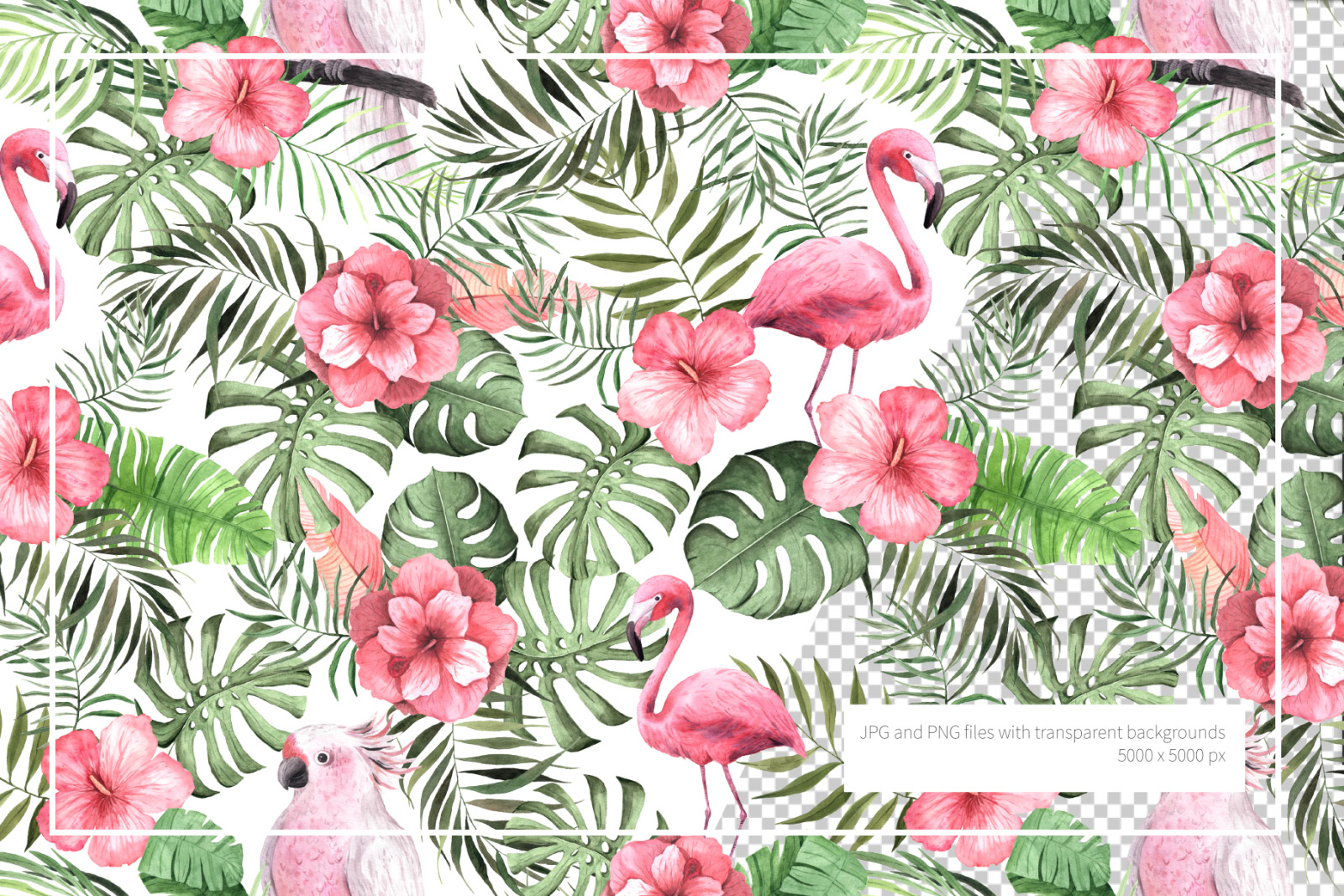 15 Watercolor Tropical Patterns Set