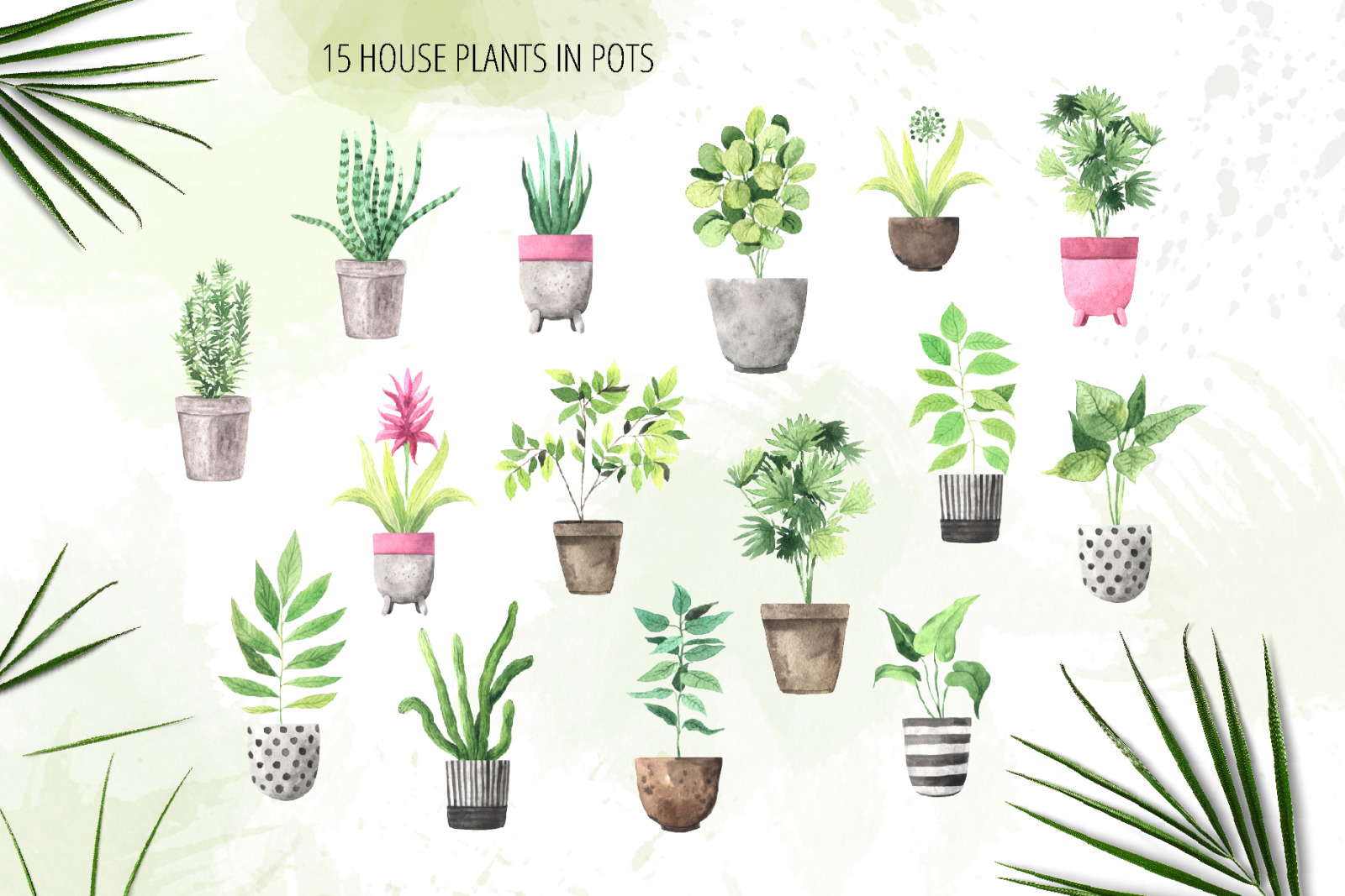 Watercolor House Plants Collection Watercolor House Plants Collection