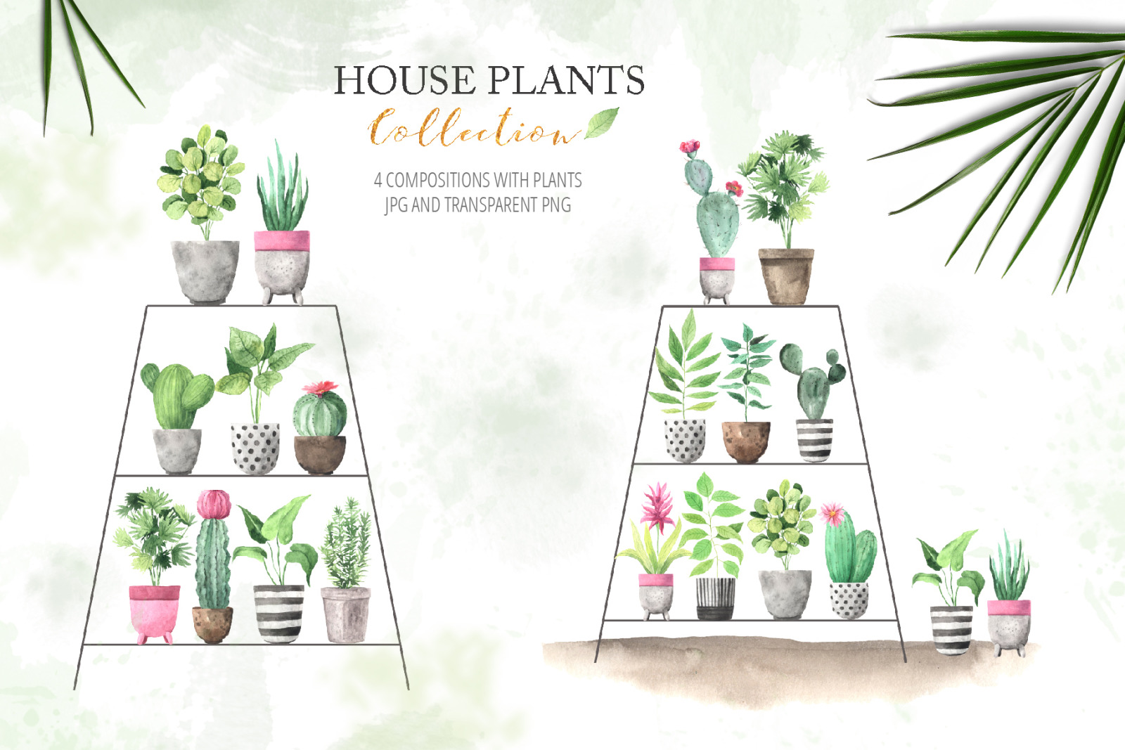 Watercolor House Plants Collection