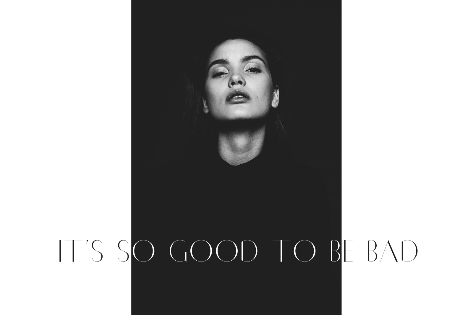 Chic Luxury Font Duo Chic Luxury Font Duo