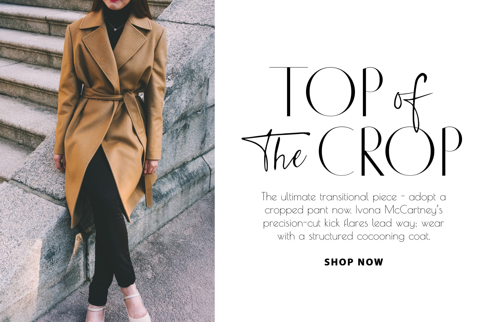 Chic Luxury Font Duo Chic Luxury Font Duo