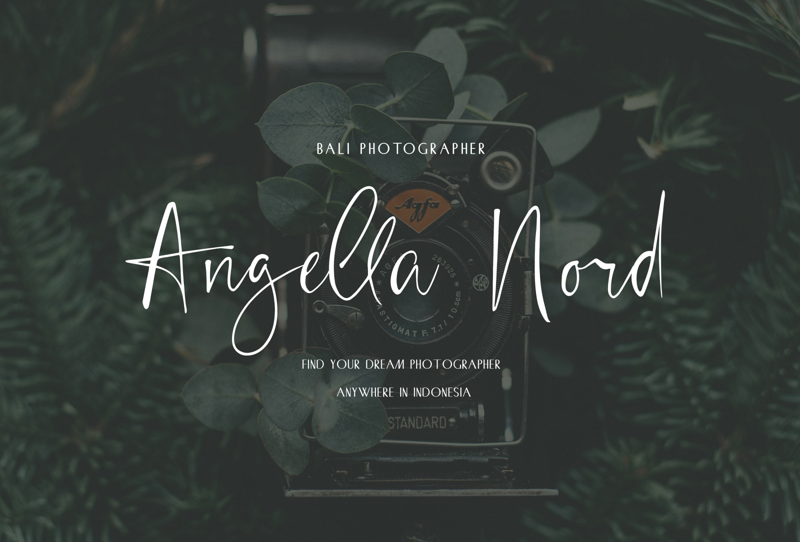 Chic Luxury Font Duo Chic Luxury Font Duo