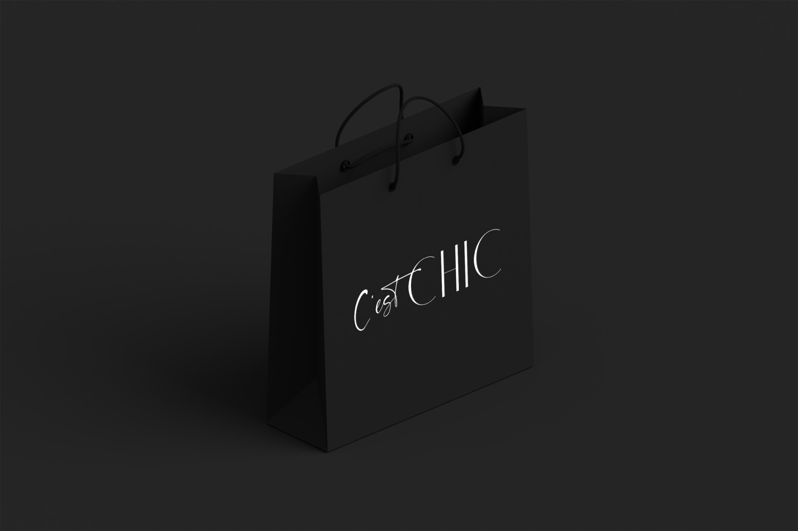 Chic Luxury Font Duo Chic Luxury Font Duo