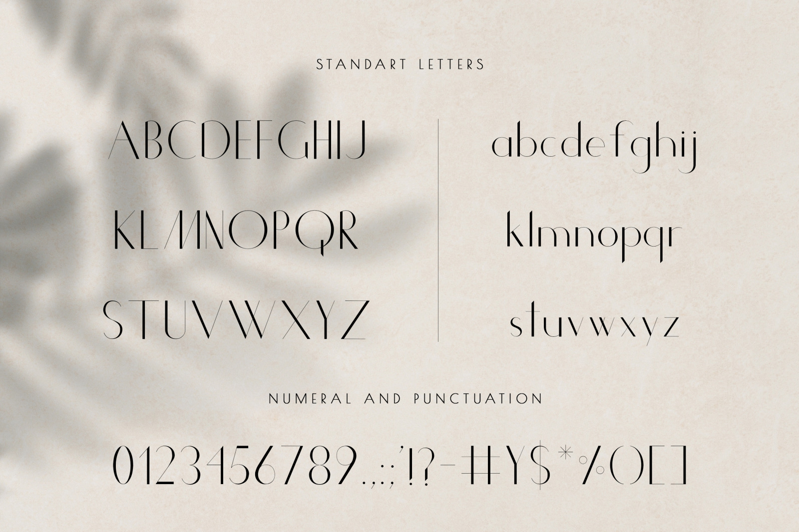 Chic Luxury Font Duo Chic Luxury Font Duo