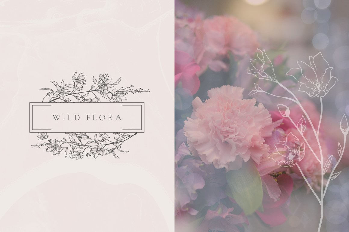 Flowered Monograms, Logo and Design Elements + Bonus Individual Florals that decorate letters. Flowered Monograms, Logo and Design Elements + Bonus Individual Florals that decorate letters.