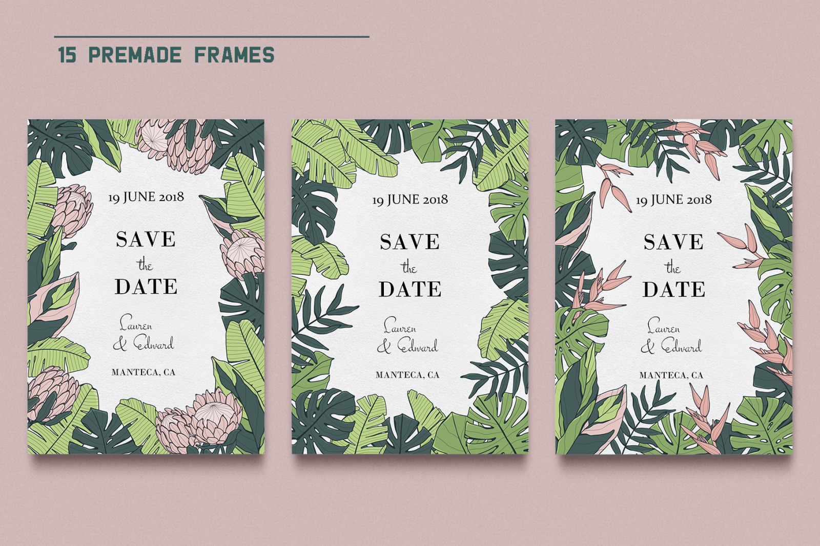 Jungle Story: tropical elements & patterns Jungle Story: tropical elements & patterns