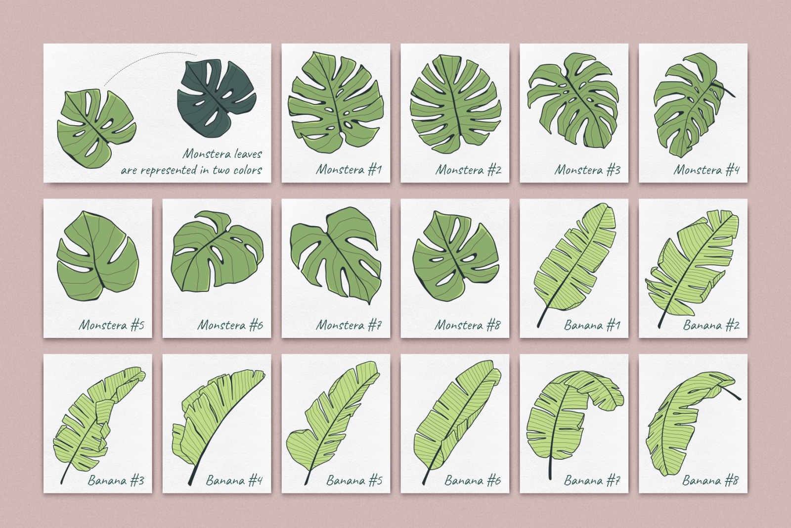 Jungle Story: tropical elements & patterns Jungle Story: tropical elements & patterns