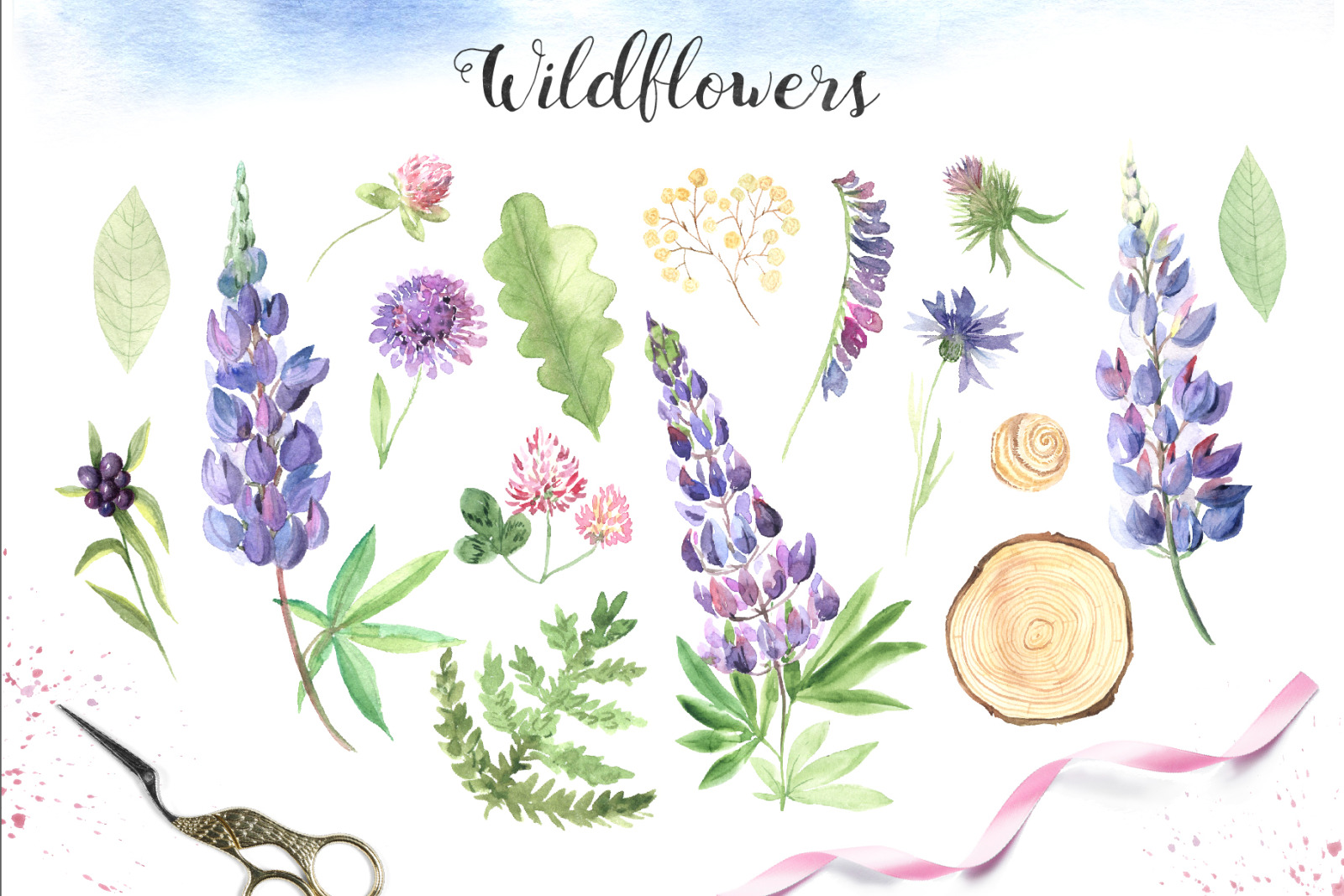 Watercolor Wildflowers Set