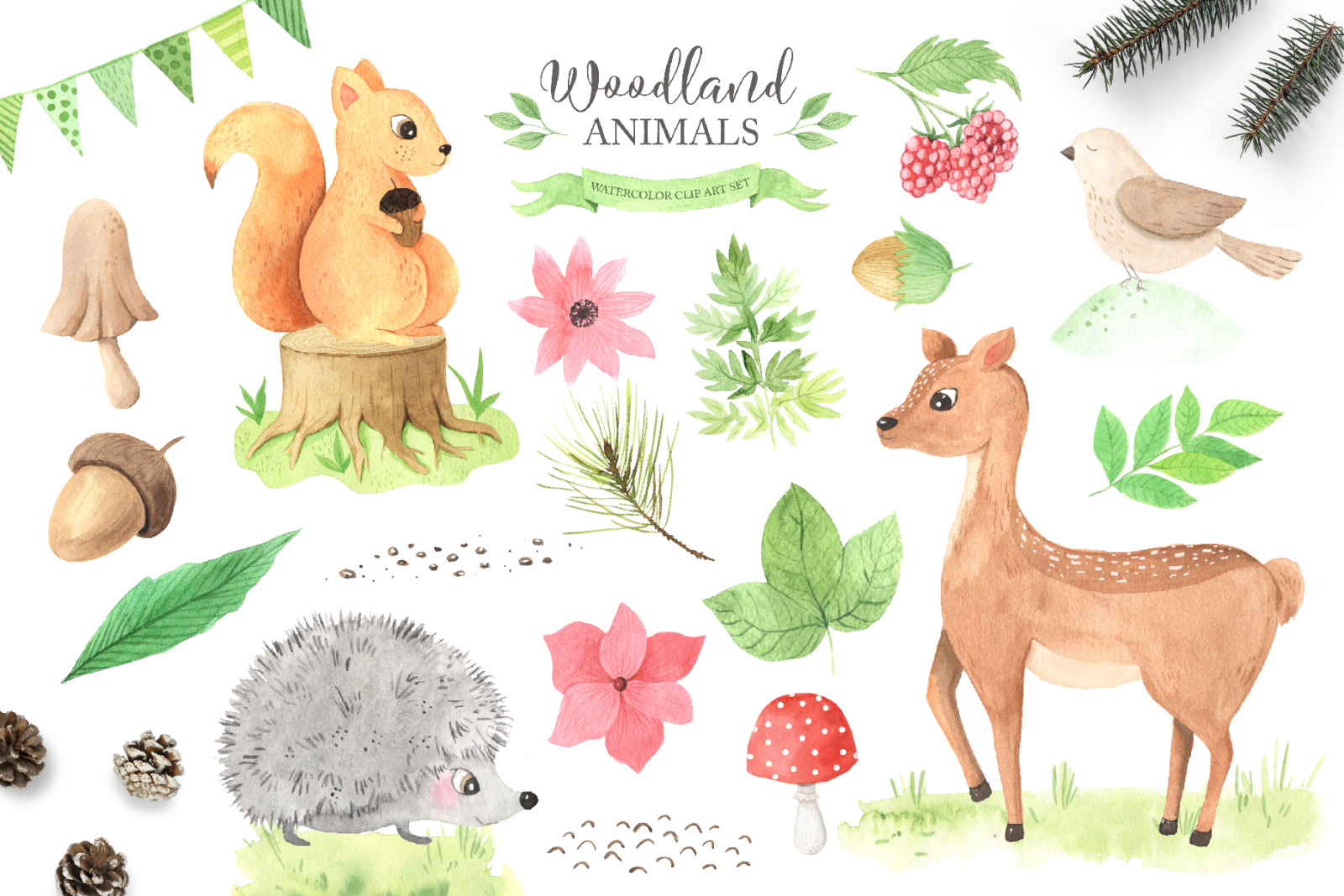 Watercolor Woodland Animals Set