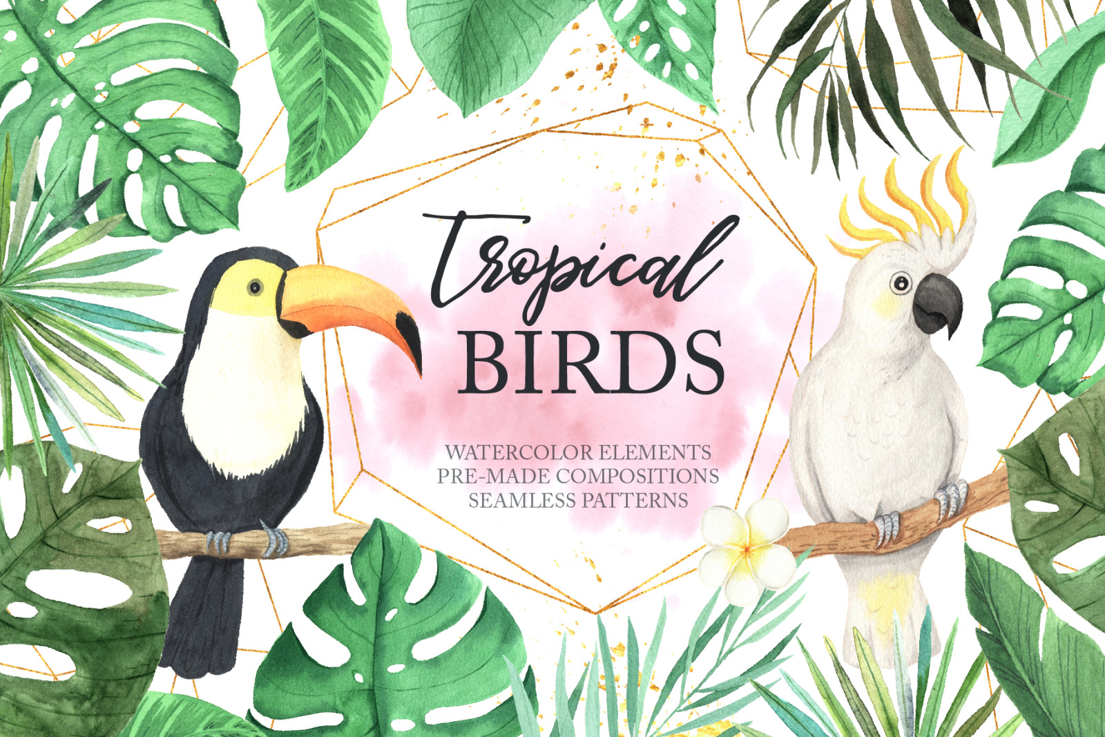 Watercolor Tropical Birds Set