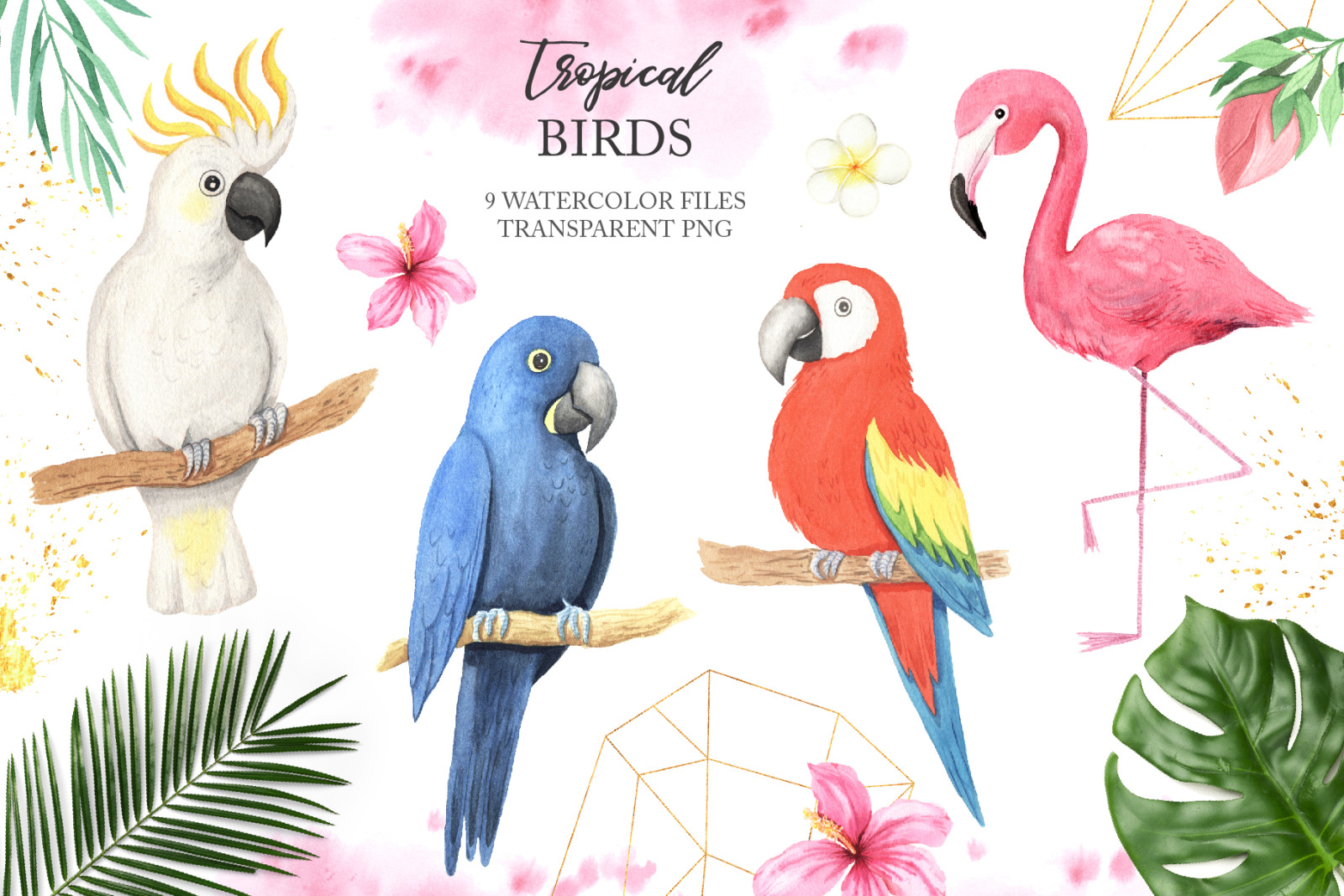 Watercolor Tropical Birds Set On Yellow Images Creative Store - 57446