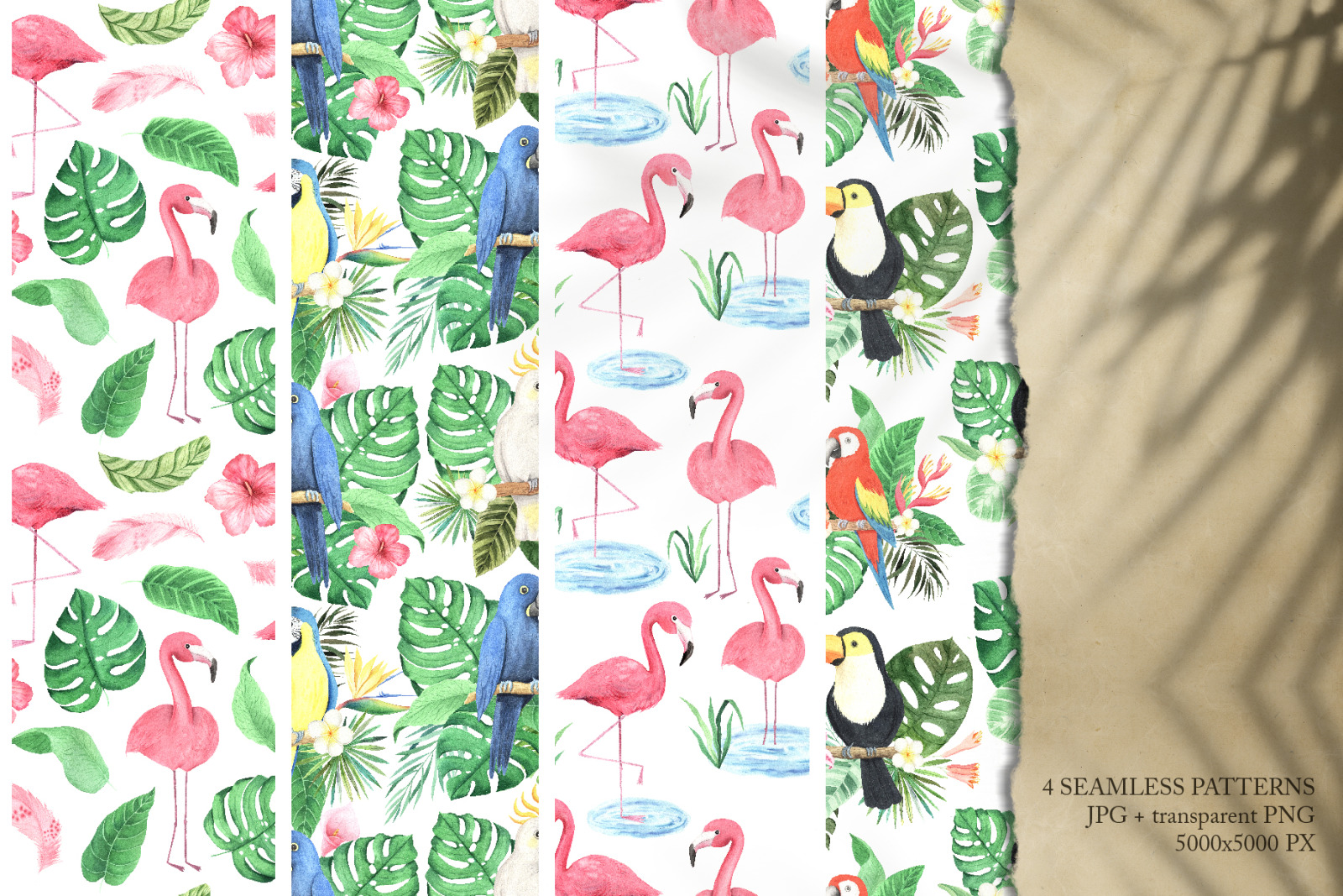 Watercolor Tropical Birds Set