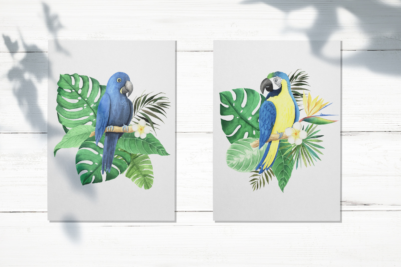 Watercolor Tropical Birds Set Watercolor Tropical Birds Set