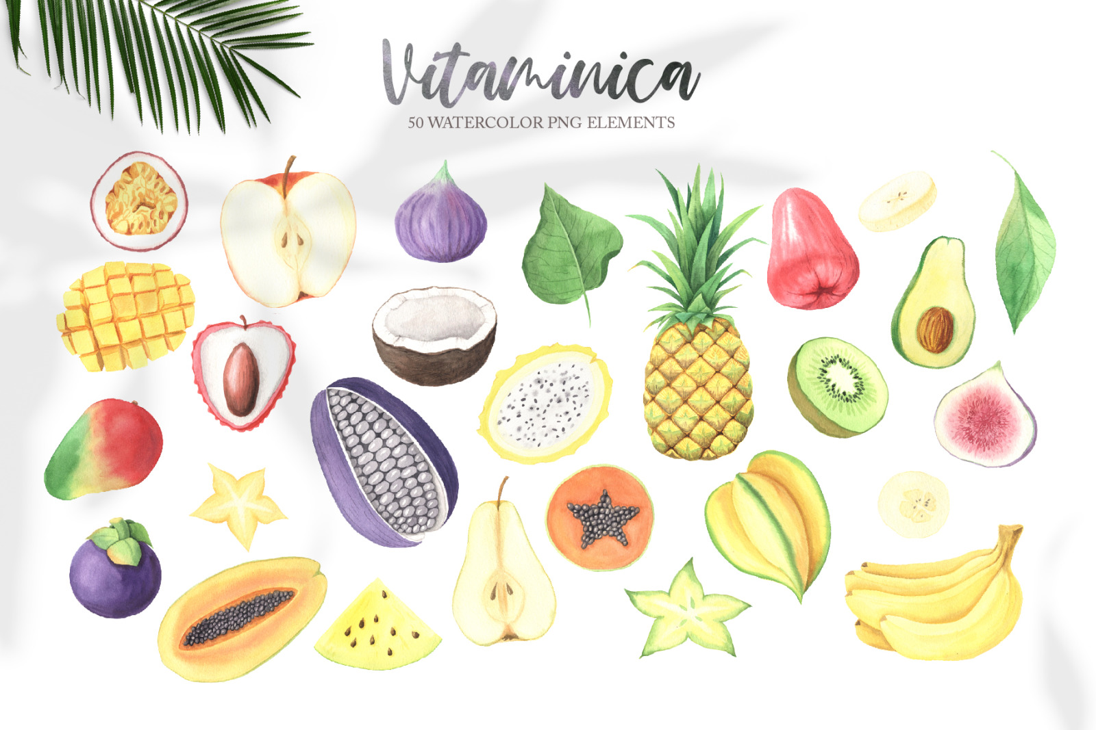 Watercolor Vitaminica Fruit Set