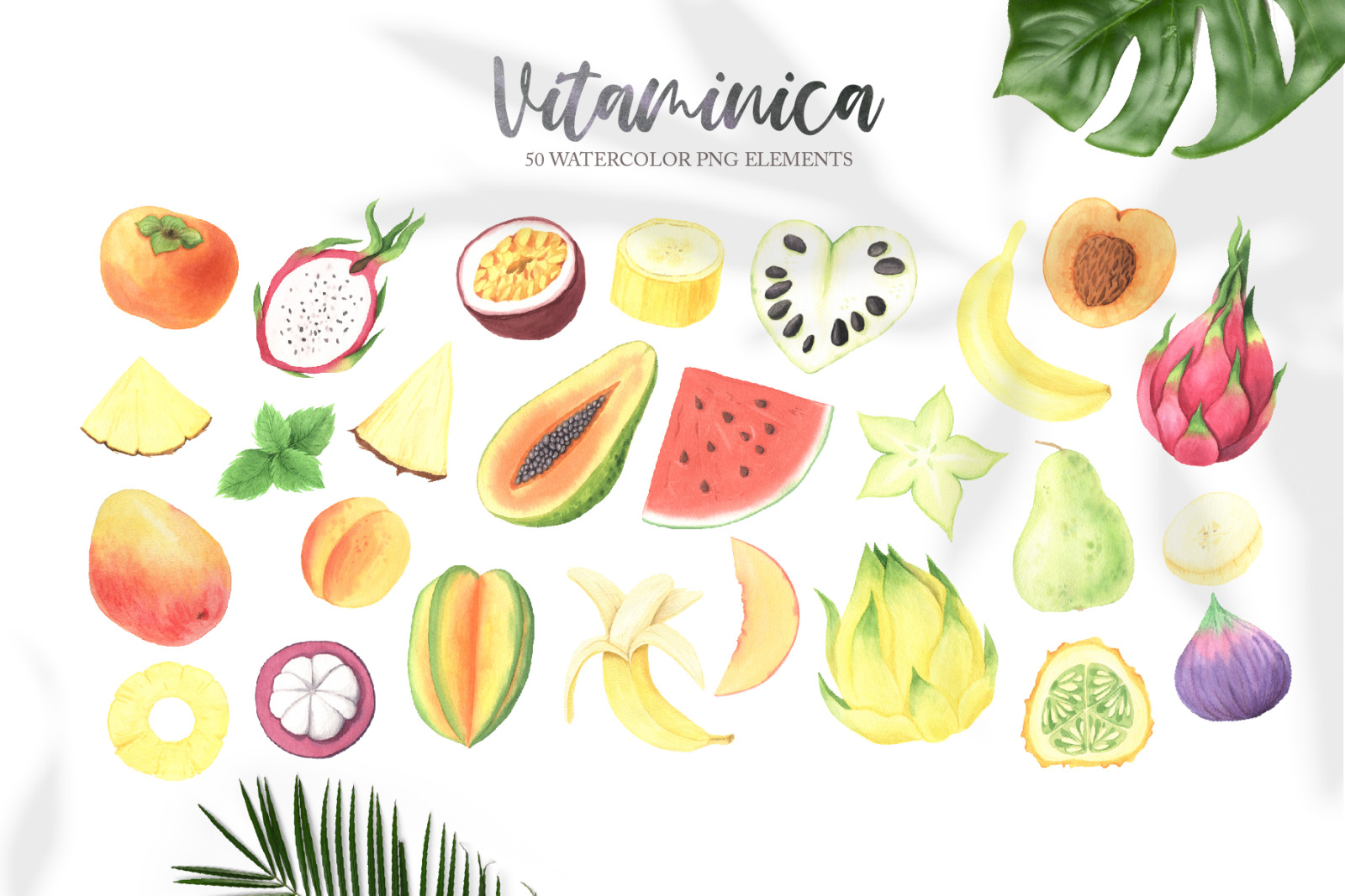 Watercolor Vitaminica Fruit Set