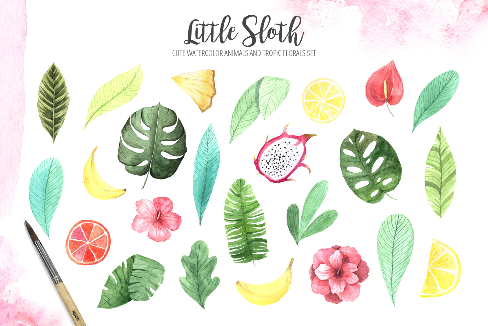 Watercolor Sloth and Tropic Florals Watercolor Sloth and Tropic Florals
