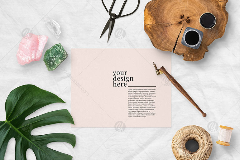 Modern Home & Studio Scene Creator Modern Home & Studio Scene Creator