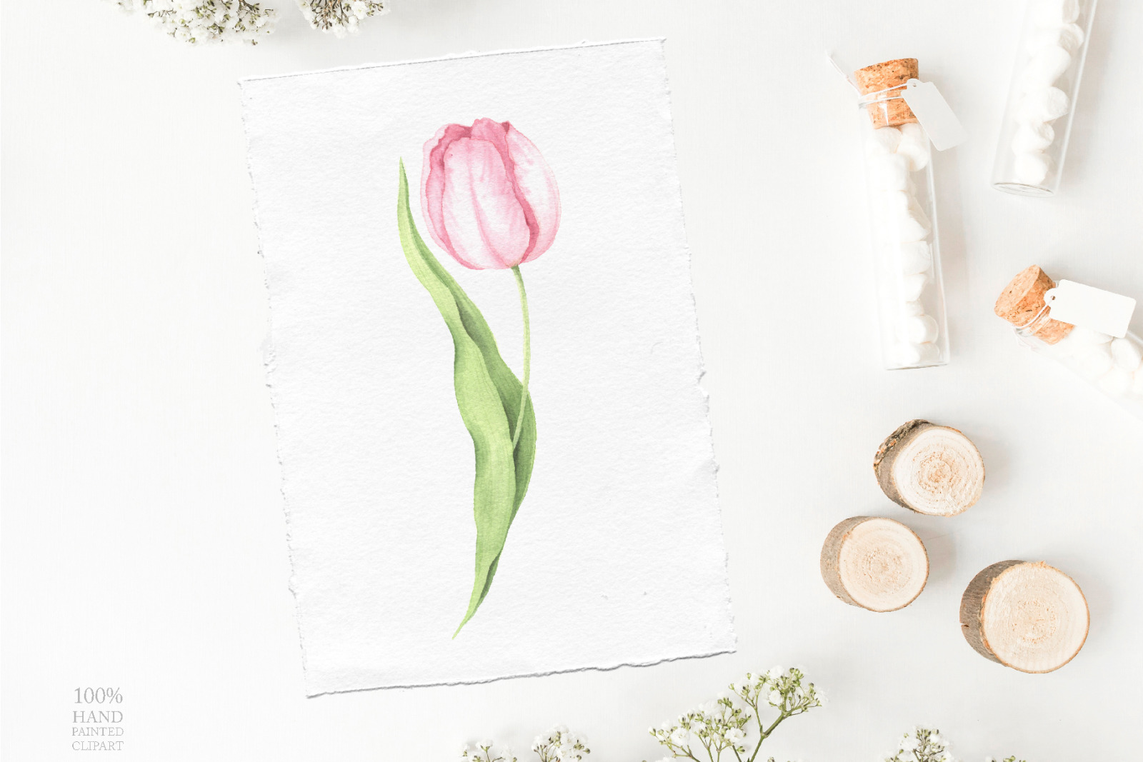 Watercolor Spring Floral Collection Watercolor Spring Floral Collection
