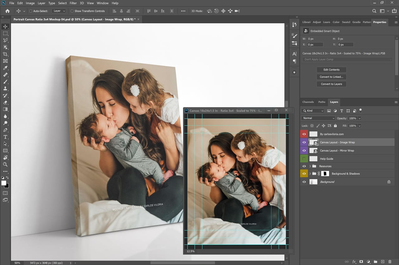 Portrait Canvas Ratio 3x4 Mockup 04